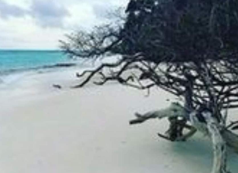 Spiaggia Foto