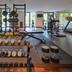 Palestra