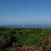Vista esterna