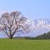 Vista esterna