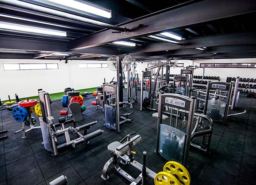 Palestra Foto