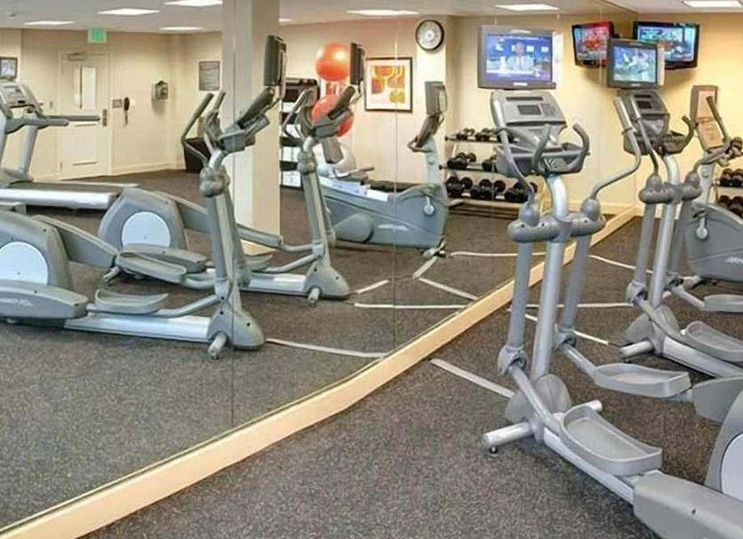 Palestra Foto