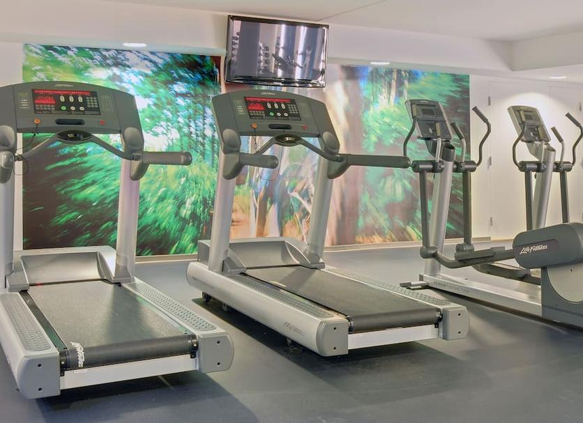 Palestra Foto