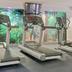 Palestra