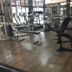 Palestra