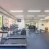 Palestra
