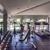 Palestra