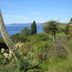 Vista esterna