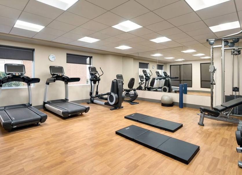 Palestra Foto