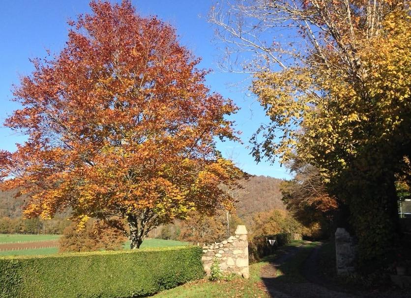 Vista esterna Foto