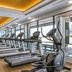 Palestra