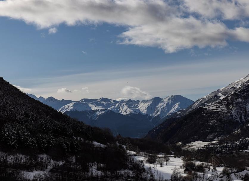Altro Foto