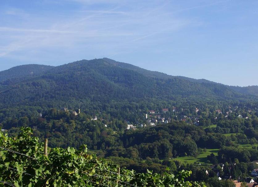Vista esterna Foto