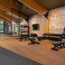Palestra