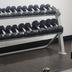 Palestra
