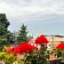 Vista esterna