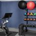 Palestra