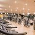 Palestra