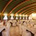 Sala ricevimenti