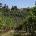 Vista esterna