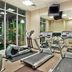 Palestra