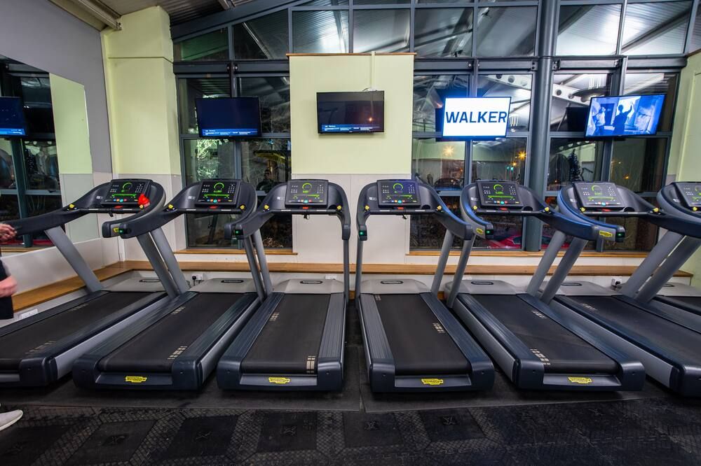 Palestra