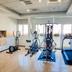 Palestra