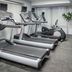 Palestra
