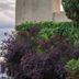 Vista esterna