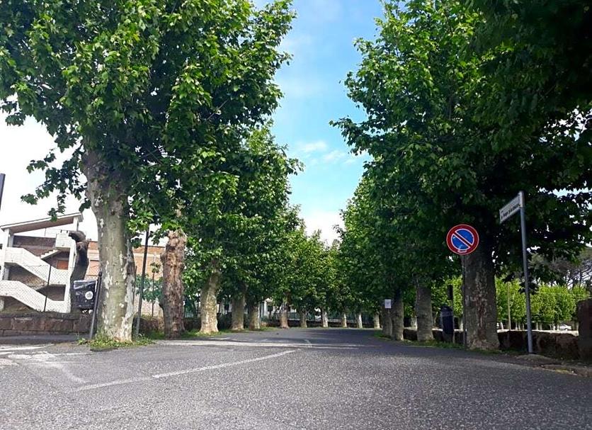 Vista esterna Foto