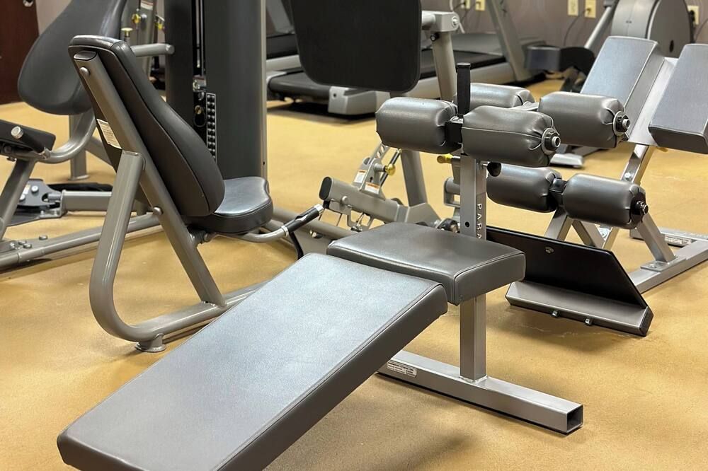 Palestra