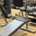 Palestra