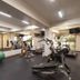 Palestra
