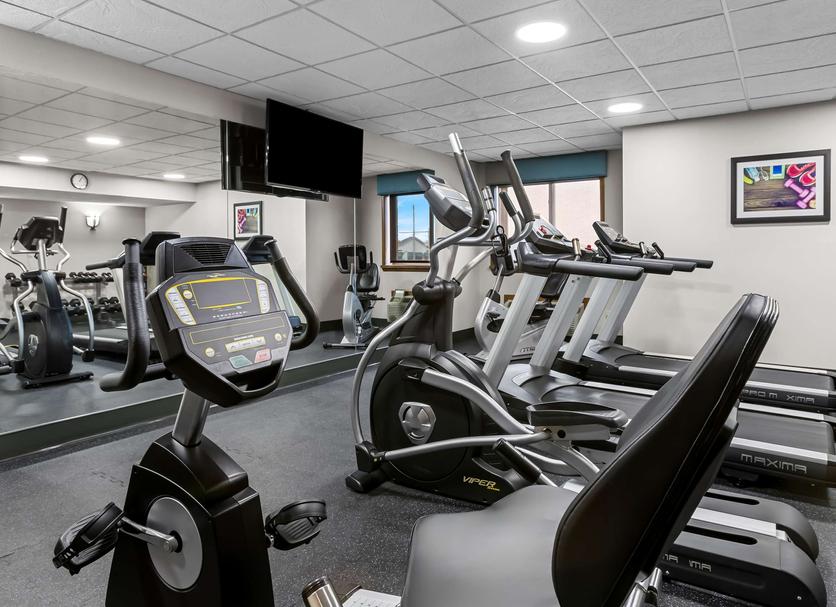 Palestra Foto