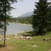 Vista esterna