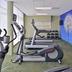 Palestra