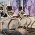 Palestra