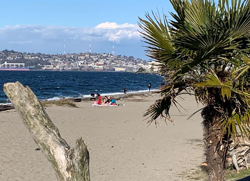 Spiaggia Foto