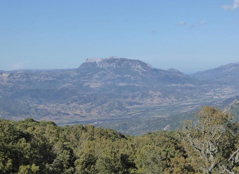 Vista esterna Foto