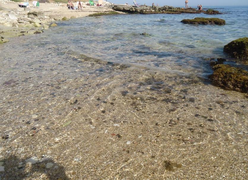 Altro Foto