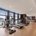 Palestra