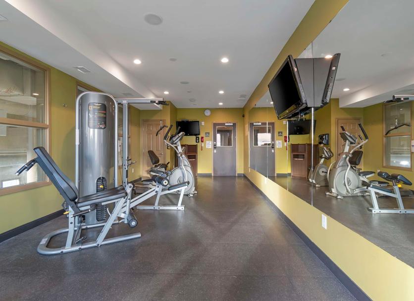 Palestra Foto