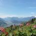 Vista esterna