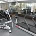 Palestra