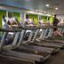 Palestra