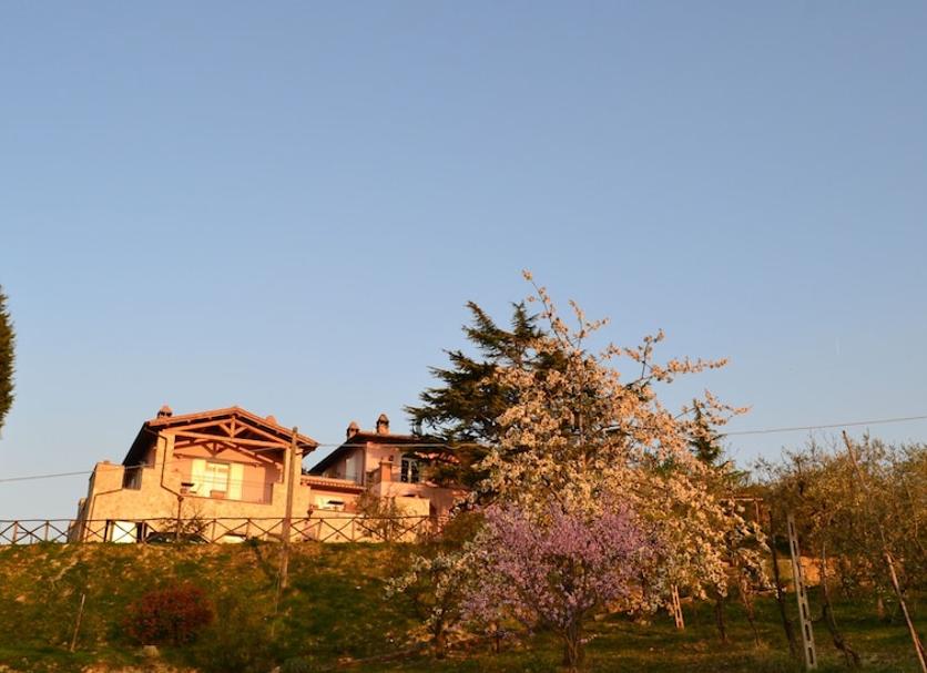 Vista esterna Foto