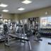 Palestra