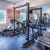 Palestra