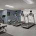 Palestra