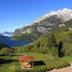 Vista esterna
